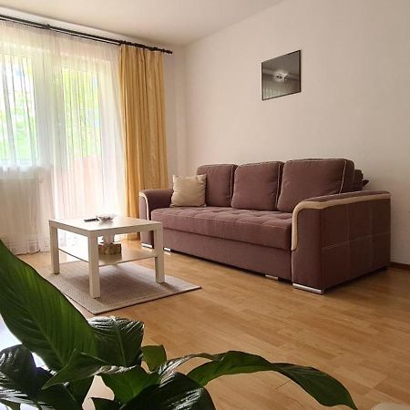 Armonia Apartment Brasov Bagian luar foto