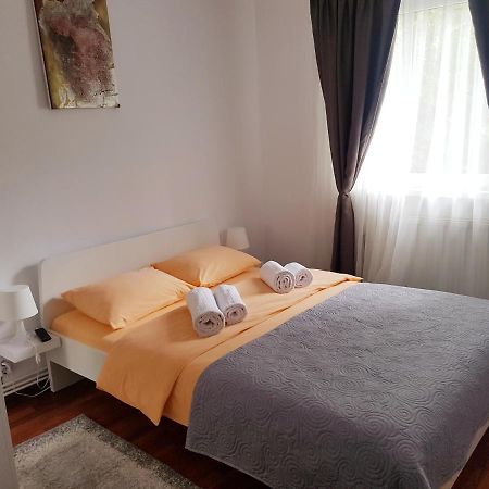 Armonia Apartment Brasov Bagian luar foto