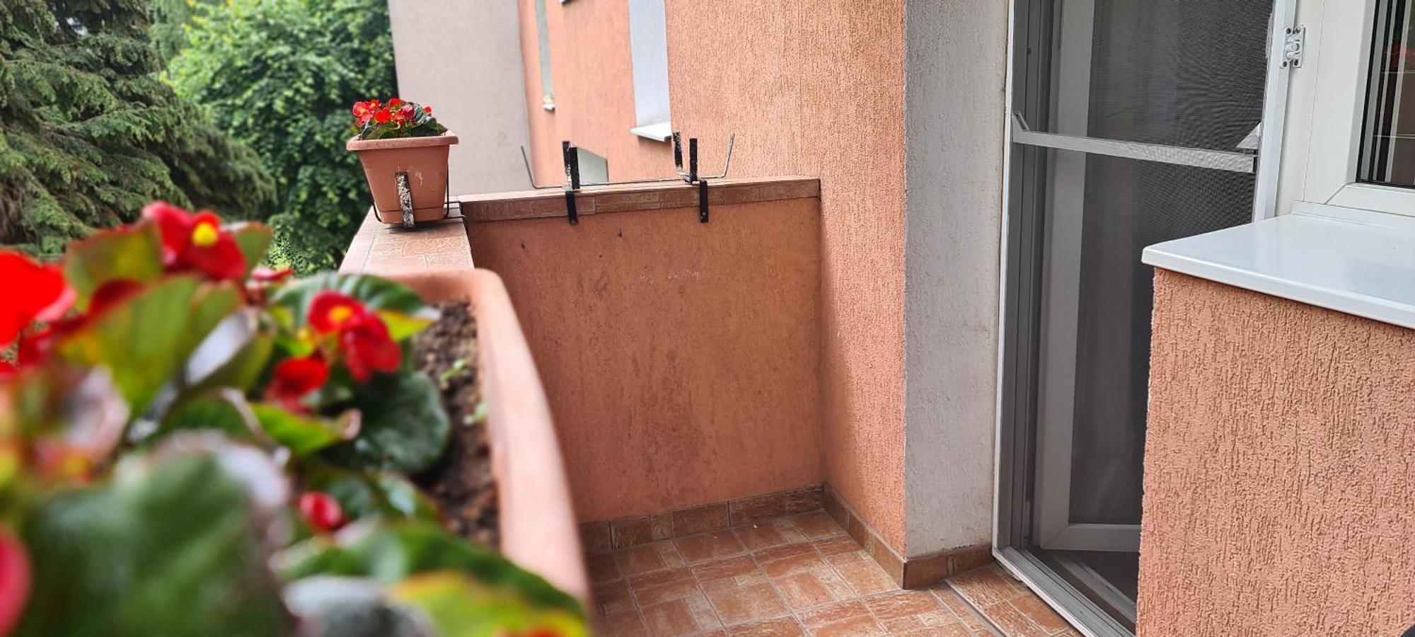 Armonia Apartment Brasov Bagian luar foto