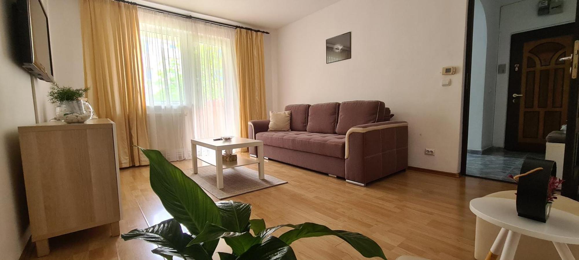 Armonia Apartment Brasov Bagian luar foto