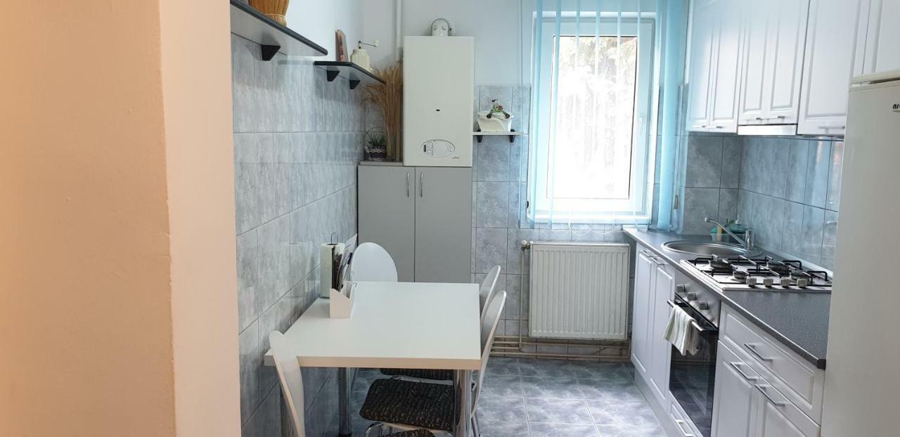 Armonia Apartment Brasov Bagian luar foto